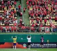 广州羊城队迎胜四川熊猫队，技压群雄的简单介绍